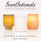Scentsationals Wax Melts Strong Scent - Eucalyptus Snow - Long Lasting Scented Wax Cubes for Warmers - 10oz (PACK OF 4)