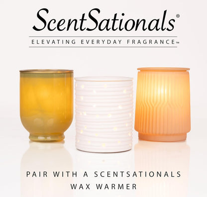 Scentsationals Wax Melts Strong Scent - Eucalyptus Snow - Long Lasting Scented Wax Cubes for Warmers - 10oz (PACK OF 4)