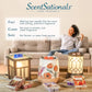 Scentsationals Accent Wax Warmer - Scented Wax Cube Melter - Electric Fragrance Plugin - (Wildlife)