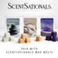 Scentsationals Wax Melt Warmer - Bryn - Fragrance Warmer for Cubes and Tarts