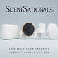 ScentSationals Cinnamon Buns Fragrance Oil Plug In Air Freshener Refills 3-Pack - Works w/ Scentsationals Wall Plugs - Packaging May Vary