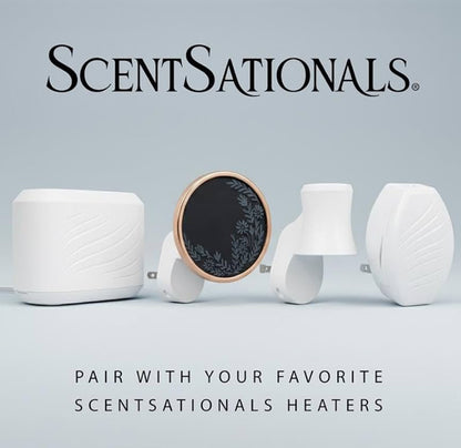 ScentSationals Cinnamon Buns Fragrance Oil Plug In Air Freshener Refills 3-Pack - Works w/ Scentsationals Wall Plugs - Packaging May Vary
