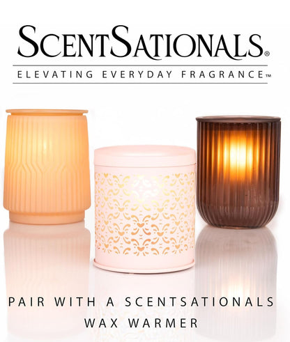 Scentsationals Wax Melts Strong Scent - Vanilla Pine - Long Lasting Scented Wax Cubes for Warmers, 10oz (Pack of 4)