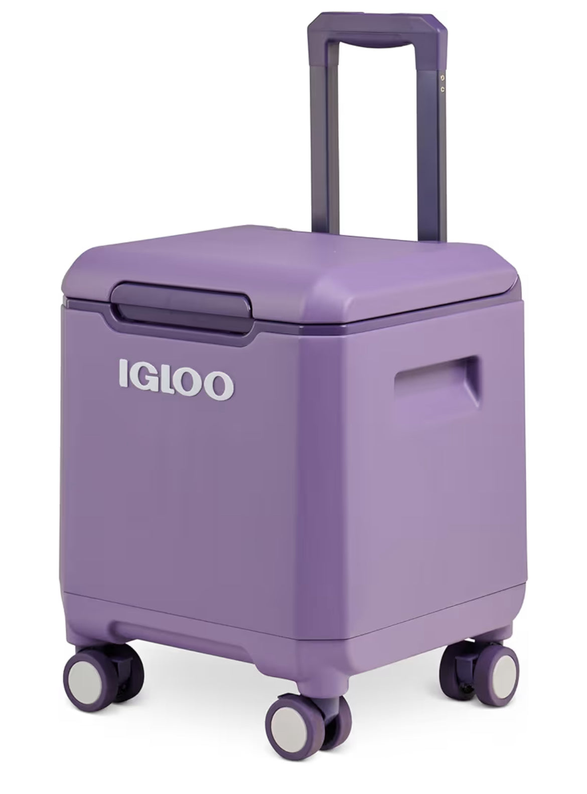 Igloo Tag Along 360 Spinner Cooler | 20 Quart Rolling Ice Chest - (D Grape)