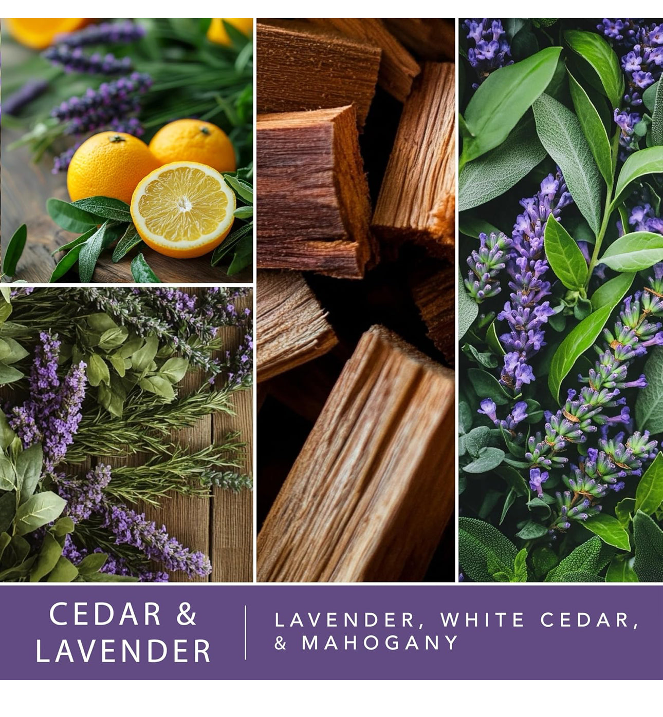 Scentsationals Wax Melts - Wax Cubes Strong Scent - Cedar and Lavender - Long Lasting Scented 4PK