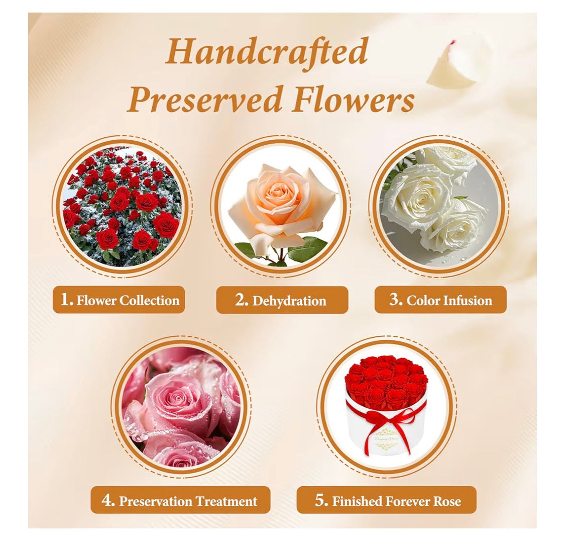 Forever Preserved (17) Roses Flowers in a Luxury Suede Box, Birthday Gifts, Romantic Anniversary Valentines Day Gifts - Red