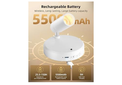 Kolligte Binnenshuis, 5500mAh Herlaaibare Skilderyligte met Afstandbeheer, Draadlose Mini-Kunskolligte met Tyder & Verstelbare Opwaartse Lig Binnenshuis vir Plante, Uitstalling (2pk - Wit)