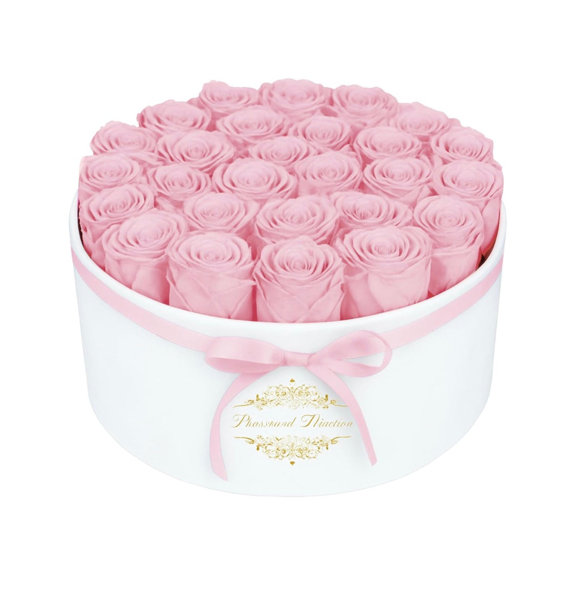 Forever Preserved (17) Roses Flowers in a Luxury Suede Box, Birthday Gifts, Romantic Anniversary Valentines Day Gifts - Champagne