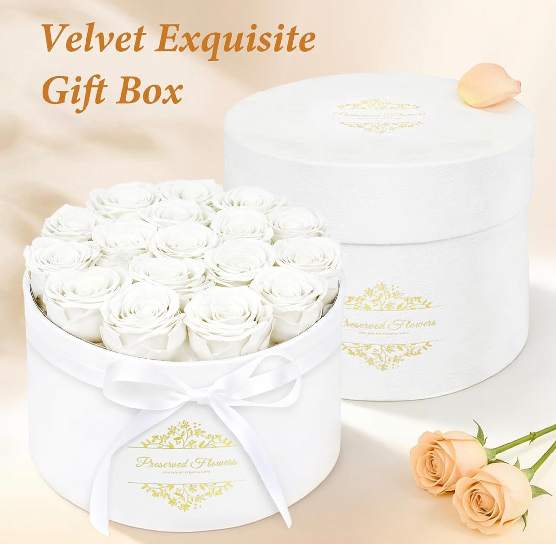 Forever Preserved (17) Roses Flowers in a Luxury Suede Box, Birthday Gifts, Romantic Anniversary Valentines Day Gifts - Champagne