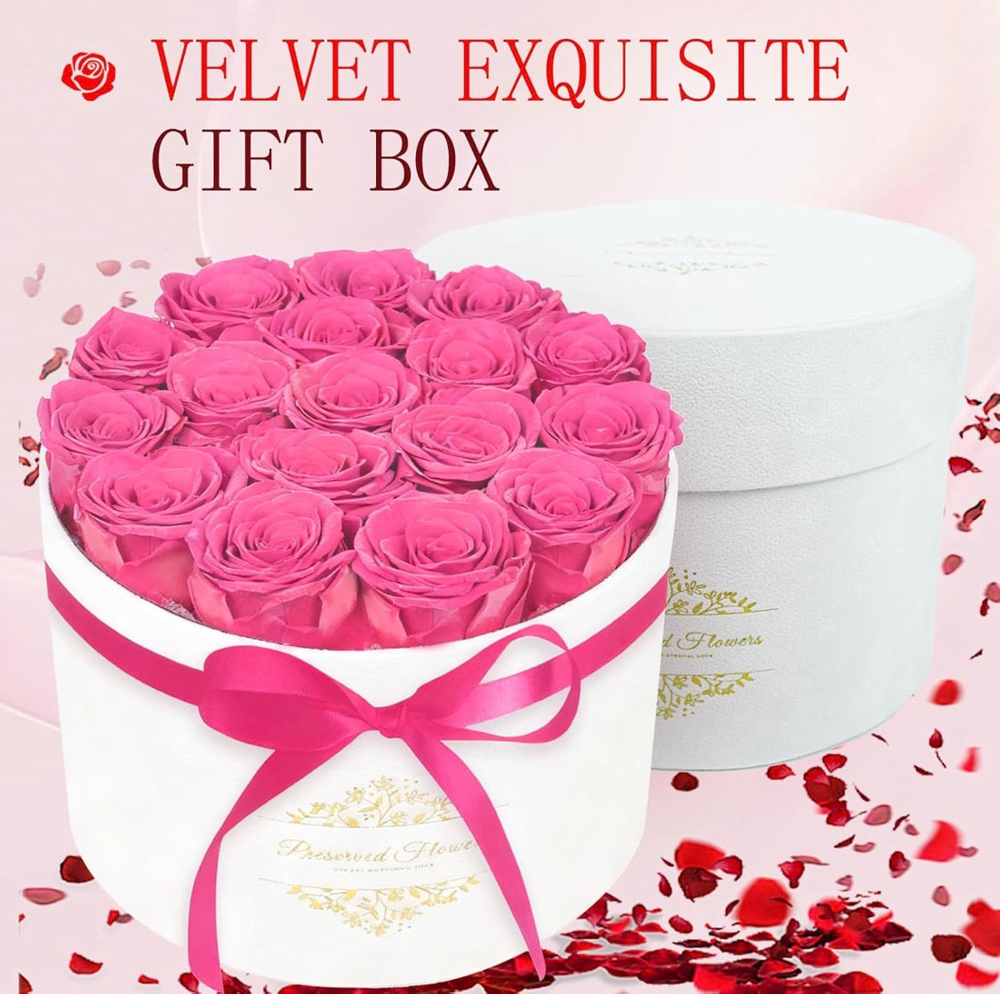 Forever Preserved (17) Roses Flowers in a Luxury Suede Box, Birthday Gifts, Romantic Anniversary Valentines Day Gifts - Champagne