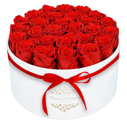 Forever Preserved (17) Roses Flowers in a Luxury Suede Box, Birthday Gifts, Romantic Anniversary Valentines Day Gifts - Champagne