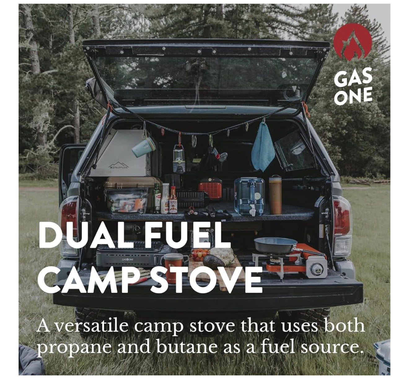 GasOne 15,000 BTU Propane or Butane Stove Dual Fuel Stove Portable Camping Stove - Patented - with Carrying Case Great for Emergency Preparedness Kit