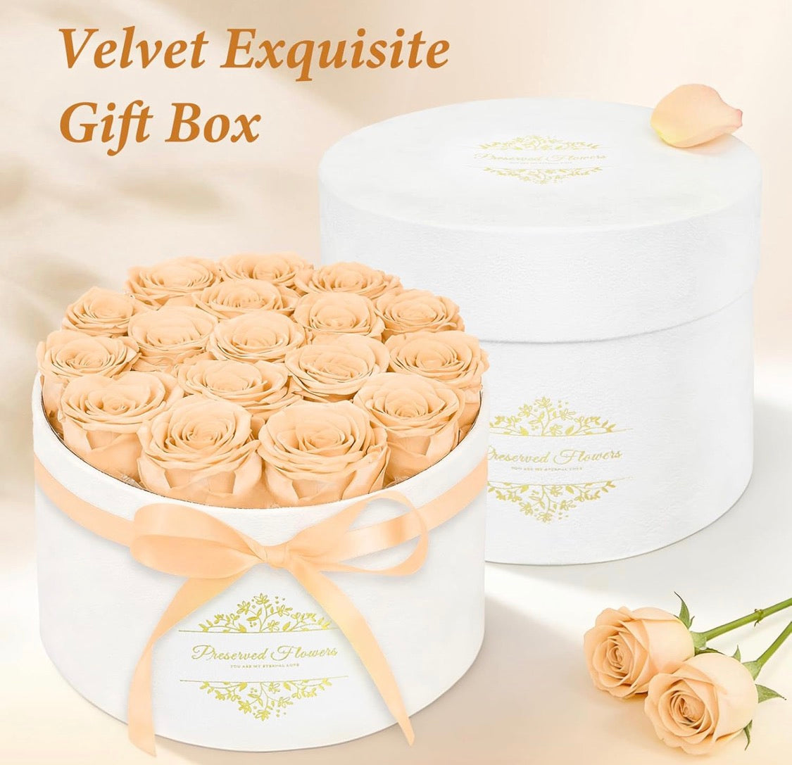 Forever Preserved (17) Roses Flowers in a Luxury Suede Box, Birthday Gifts, Romantic Anniversary Valentines Day Gifts - Champagne