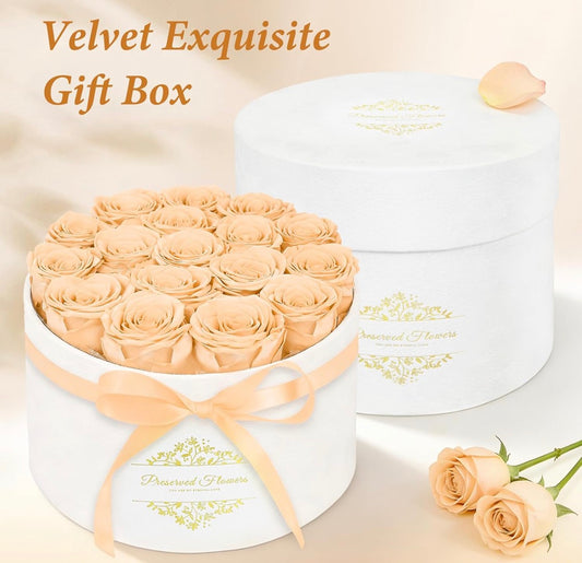 Forever Preserved (17) Roses Flowers in a Luxury Suede Box, Birthday Gifts, Romantic Anniversary Valentines Day Gifts - Champagne