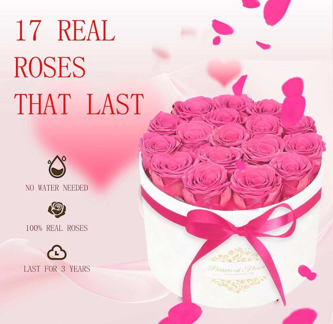 Forever Preserved (17) Roses Flowers in a Luxury Suede Box, Birthday Gifts, Romantic Anniversary Valentines Day Gifts - Champagne