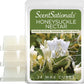 Scentsationals Wax Melts, Wax Cubes Strong Scent - Honeysuckle Nectar - 4PK