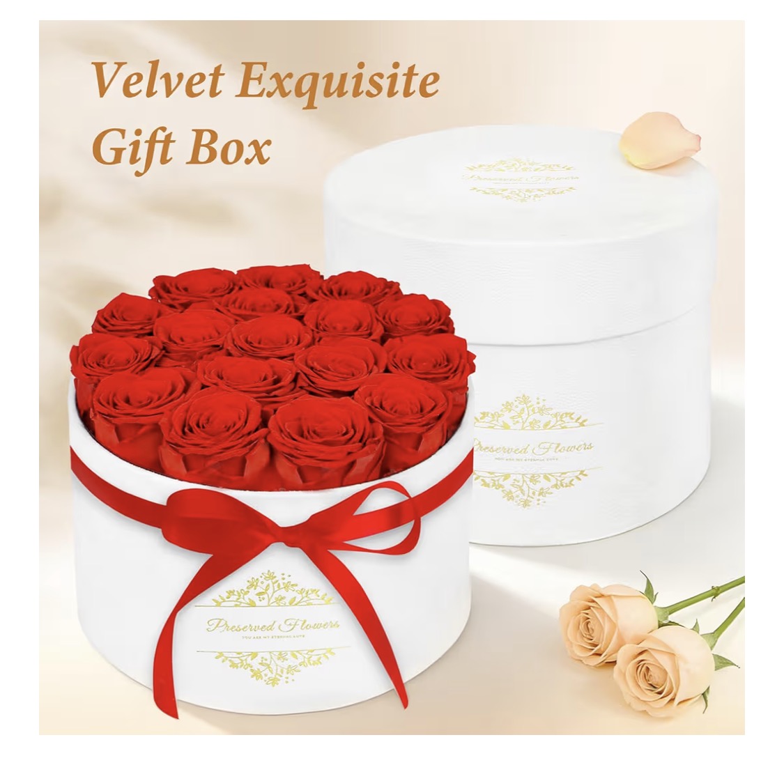 Forever Preserved (17) Roses Flowers in a Luxury Suede Box, Birthday Gifts, Romantic Anniversary Valentines Day Gifts - Red