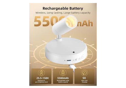 SpotLights Binne, 5500 mAh Herlaaibare Plant met Afstandsbeheer, Koordlose Mini Kuns Aksentlig met Tydhouer en Verdoofbaar, Opwaartse Lig (4Pakkie - Wit)