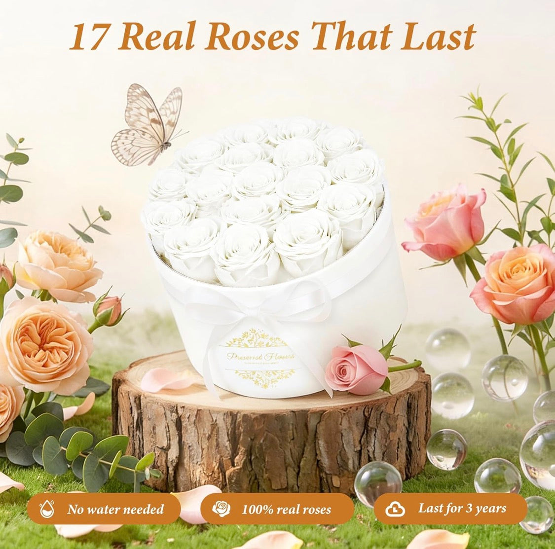 Forever Preserved (17) Roses Flowers in a Luxury Suede Box, Birthday Gifts, Romantic Anniversary Valentines Day Gifts - Champagne