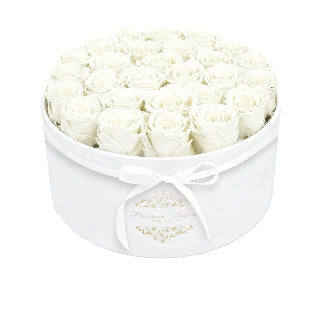 Forever Preserved (17) Roses Flowers in a Luxury Suede Box, Birthday Gifts, Romantic Anniversary Valentines Day Gifts - Champagne