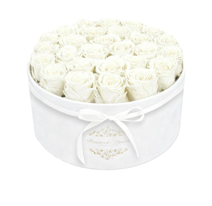 Forever Preserved (17) Roses Flowers in a Luxury Suede Box, Birthday Gifts, Romantic Anniversary Valentines Day Gifts - Champagne