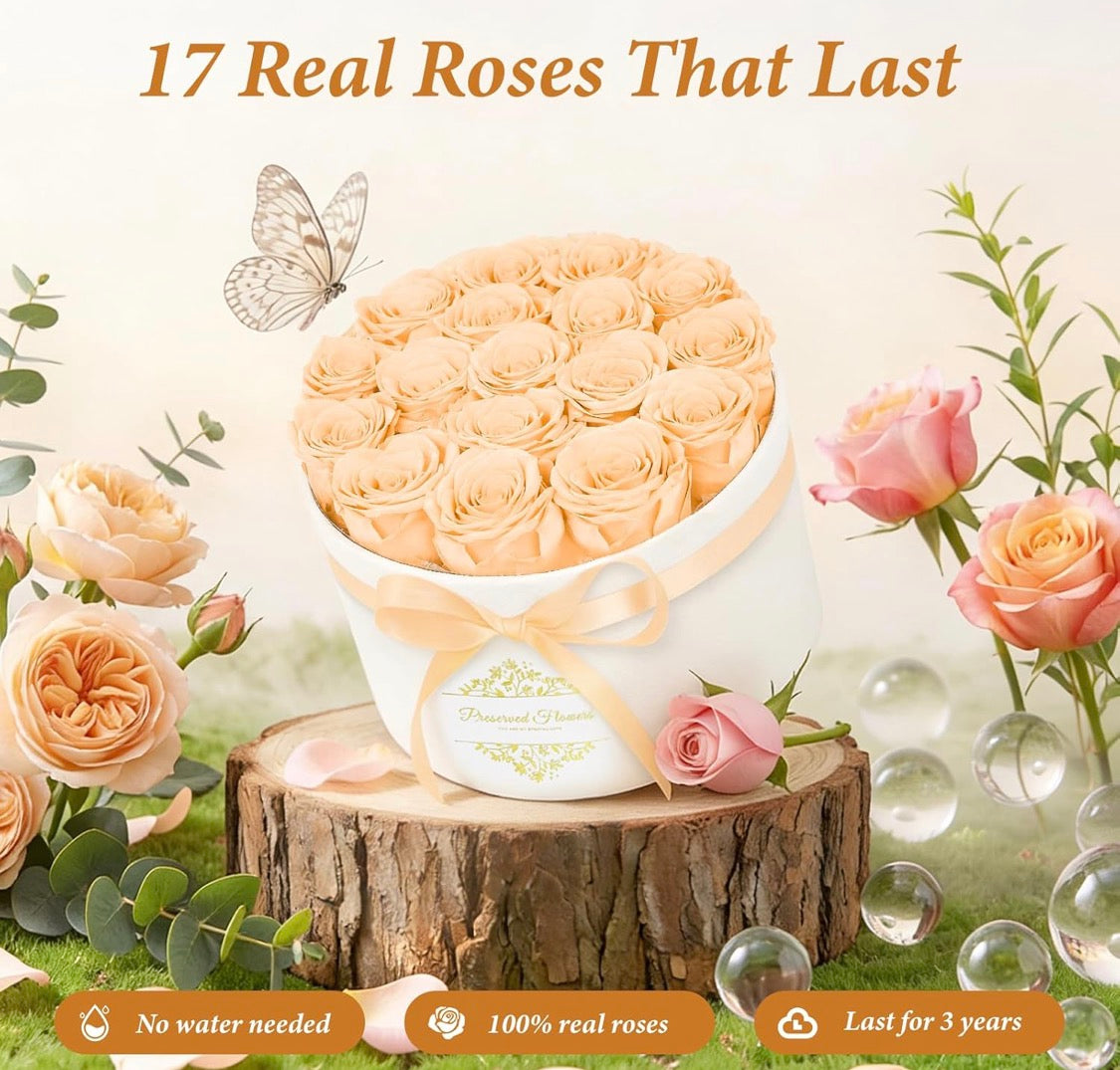 Forever Preserved (17) Roses Flowers in a Luxury Suede Box, Birthday Gifts, Romantic Anniversary Valentines Day Gifts - Champagne