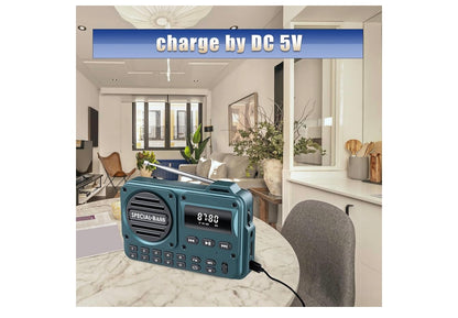 Sakradio FM USB-C Laai 2000mAh Herlaaibaar Uitstekende Ontvangs Duidelike Luidspreker en Oorfoneaansluiting, LCD-skerm, FM-radio vir Stap/Draf/Gim, Bluetooth/TF.(GEEN AM) - (Koolstof)