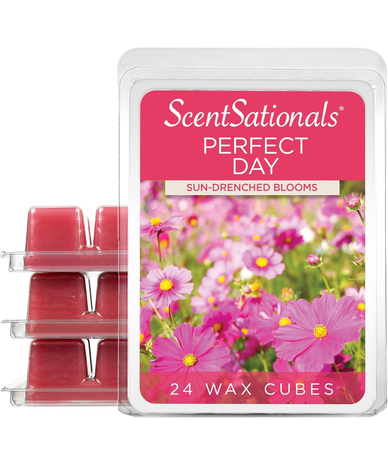 Scentsationals Wasblokkies, Wasblokkies Sterk Geur - PERFECTE DAG - 4PK