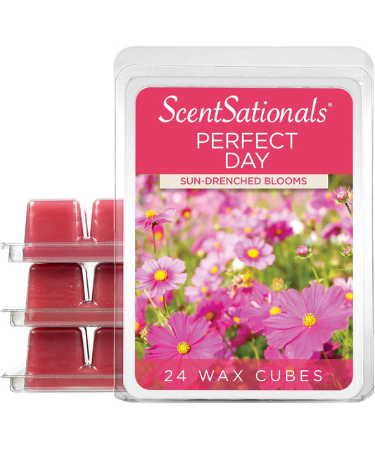 Scentsationals Wax Melts, Wax Cubes Strong Scent - PERFECT DAY - 4PK