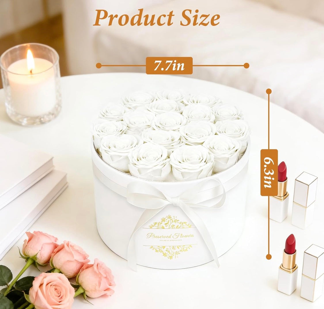 Forever Preserved (17) Roses Flowers in a Luxury Suede Box, Birthday Gifts, Romantic Anniversary Valentines Day Gifts - Champagne