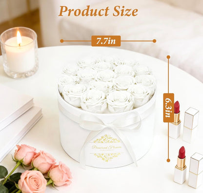 Forever Preserved (17) Roses Flowers in a Luxury Suede Box, Birthday Gifts, Romantic Anniversary Valentines Day Gifts - Champagne