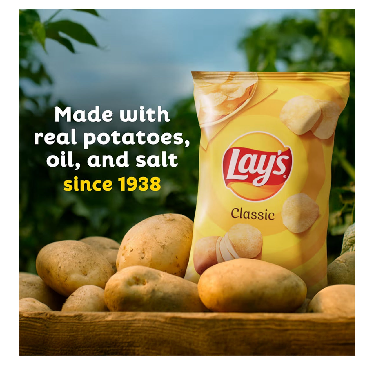 Lay's Aartappelskyfies Braaivleis Gegeur (40 Tel)
