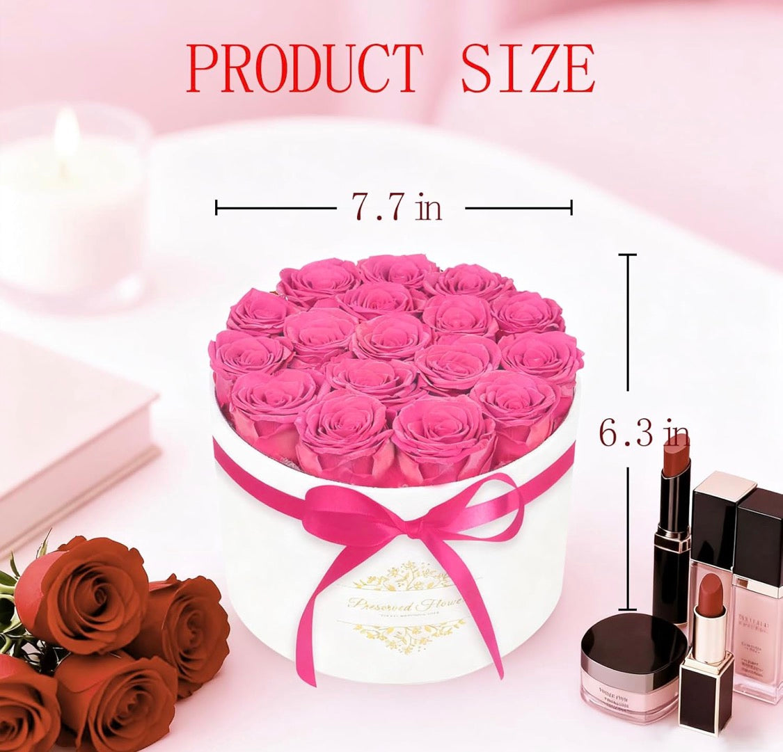Forever Preserved (17) Roses Flowers in a Luxury Suede Box, Birthday Gifts, Romantic Anniversary Valentines Day Gifts - Champagne