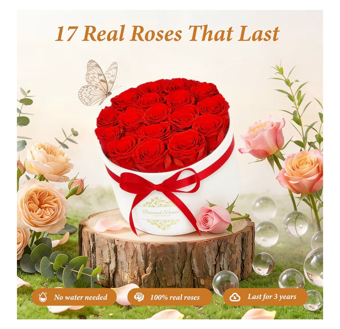 Forever Preserved (17) Roses Flowers in a Luxury Suede Box, Birthday Gifts, Romantic Anniversary Valentines Day Gifts - Red