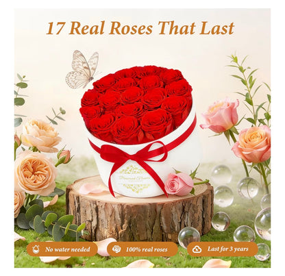 Forever Preserved (17) Roses Flowers in a Luxury Suede Box, Birthday Gifts, Romantic Anniversary Valentines Day Gifts - Champagne