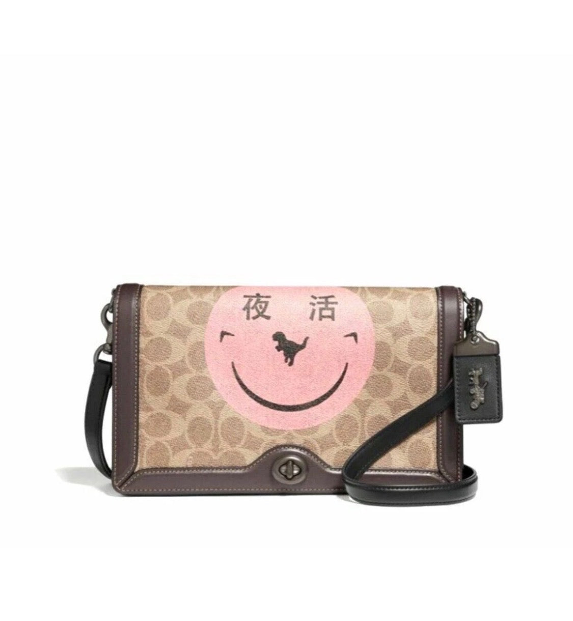 Coach Signature Canvas Riley Crossbody Bag