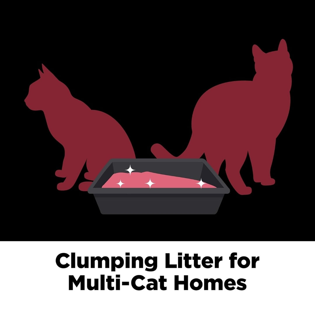 ARM & HAMMER Clump & Seal Platinum Clumping Cat Litter 14-Day Odor Control (18 Lbs)