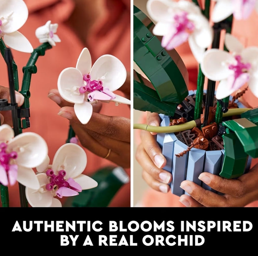 LEGO Botanicals Orgidee - Kunsmatige, Nagemaakte Binneshuise Blomme Boustel vir Huis, Kombuis, Lessenaardekorasie