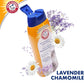 Arm & Hammer 2-in-1 Deodorizing & Shampoo for Cats Moisturizes and Deodorizes- Lavender Chamomile Scent (Pack of 6)