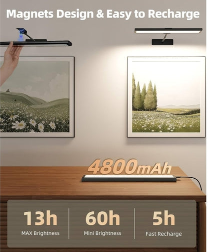 Picture Light for Wall, 4800mAh Rechargeable Wireless Remote Battery Lights, 16In Dimmable Magnetic LED Light, Colors Temperatures