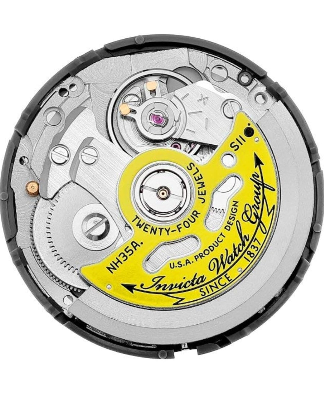 Invicta Men's Pro Diver Collection Coin-Edge Automatic Watch