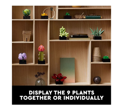 LEGO Botanicals Vetplante - Kunsmatige Binnenshuise Plant Boustellessie Buro-dekor