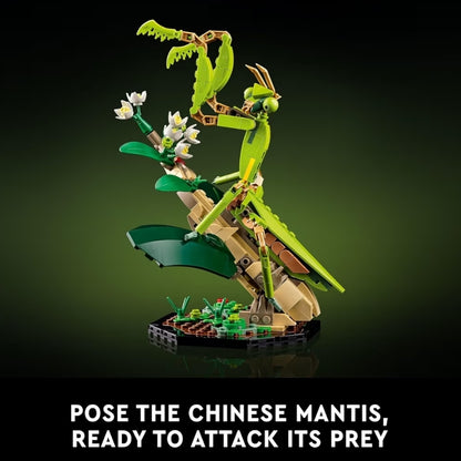 LEGO Ideas Die Insekteversameling, Natuurliefhebbers, m/ Lewensgroot Blou Morfo Skoenlapper, Herculeskewer en Chinese Bidsprinkaan - 21342