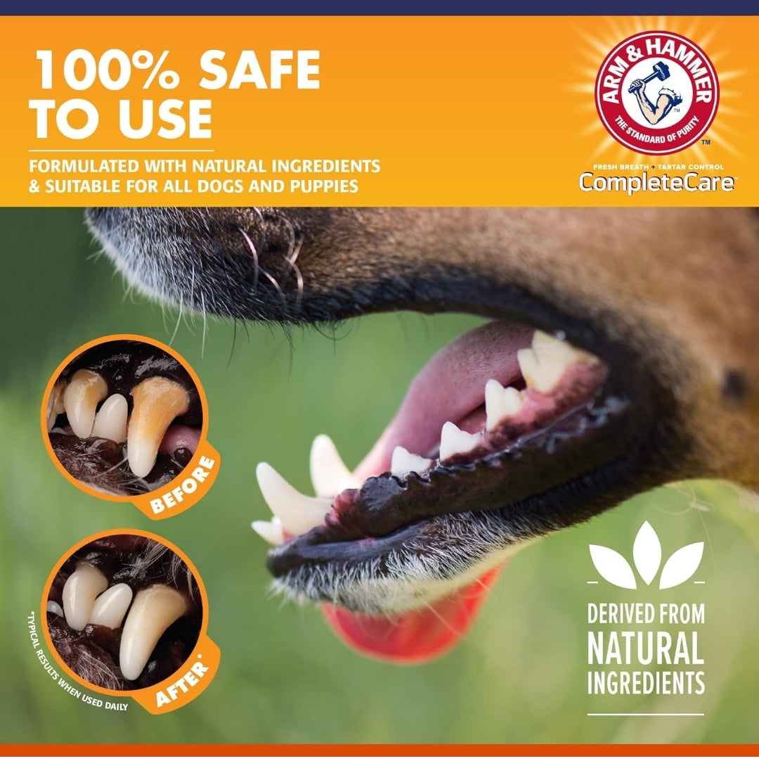 Arm & Hammer Complete Care Enzymatic Dog Toothpaste (6.2 oz) - For Puppies and Adult Dogs