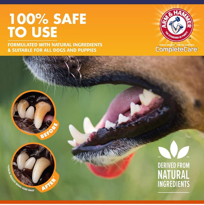 Arm & Hammer Complete Care Enzymatic Dog Toothpaste (6.2 oz) - For Puppies and Adult Dogs