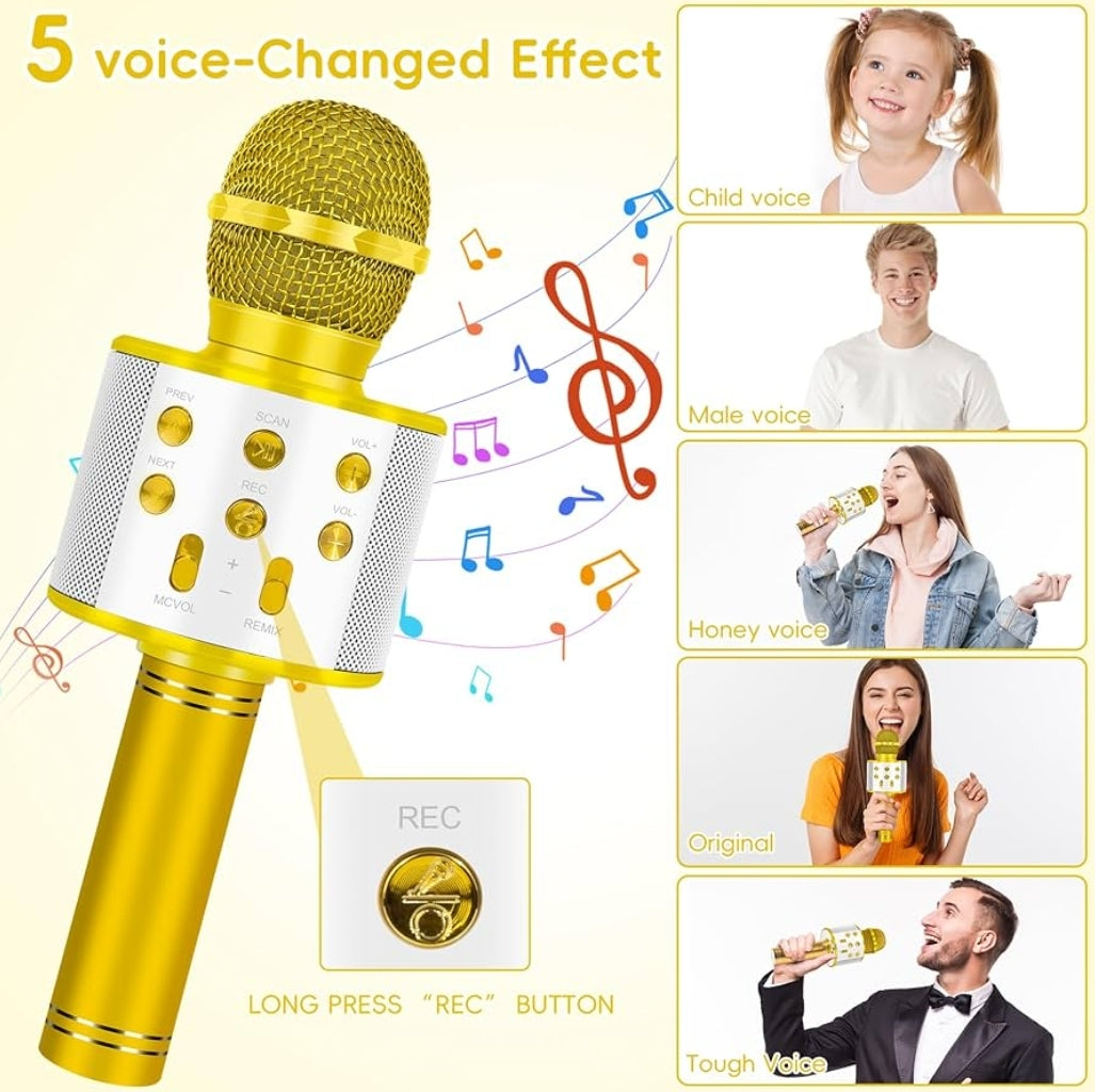 Wireless BT 5-in-1 Portable Handheld Karaoke Mic Speaker Player Recorder w/ Adjustable Remix FM Radio - (Gold)