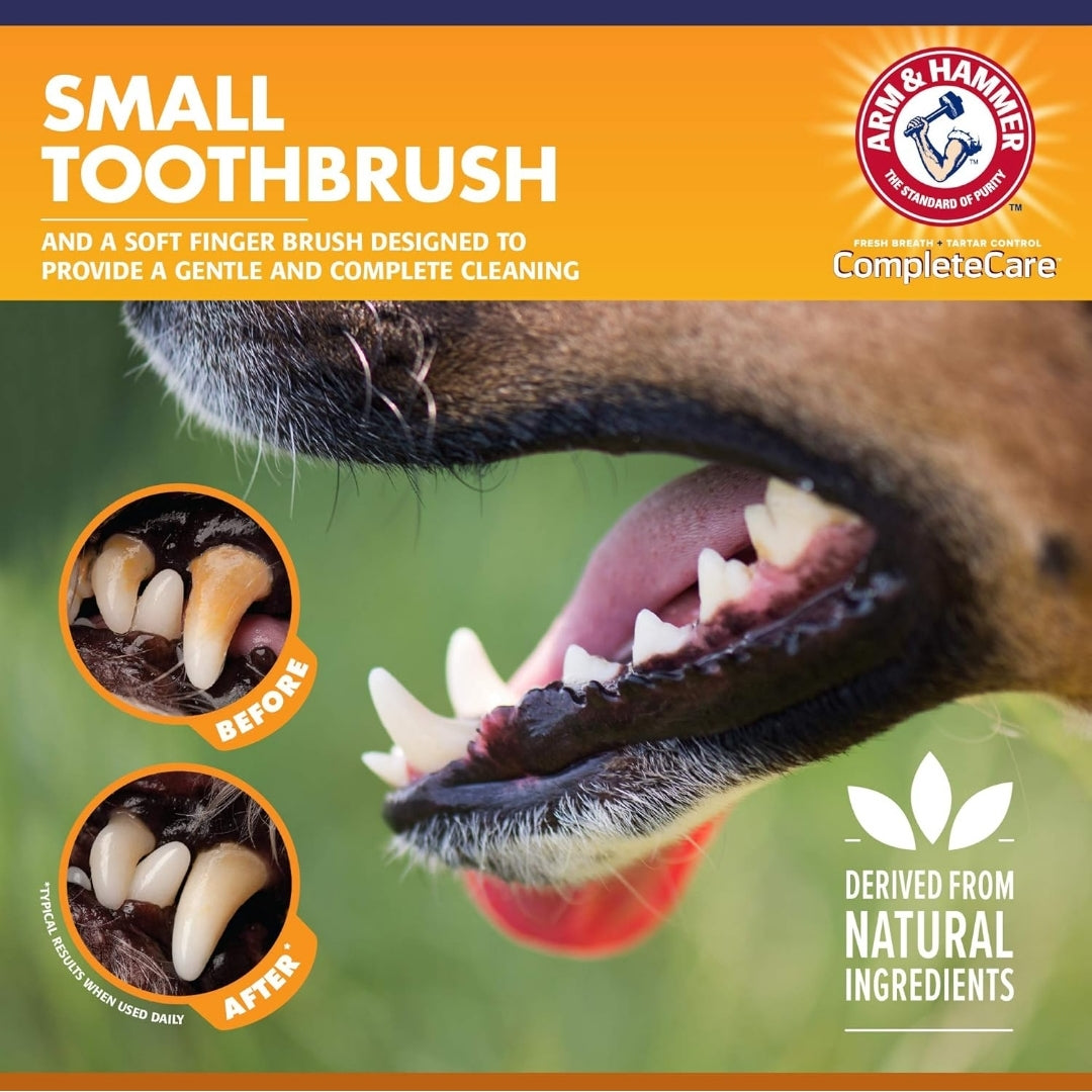 Arm & Hammer Complete Care Puppy Dental Kit - Includes Small Dog Toothbrush, Peanut Butter Flavor (2.5 Oz) Toothpaste