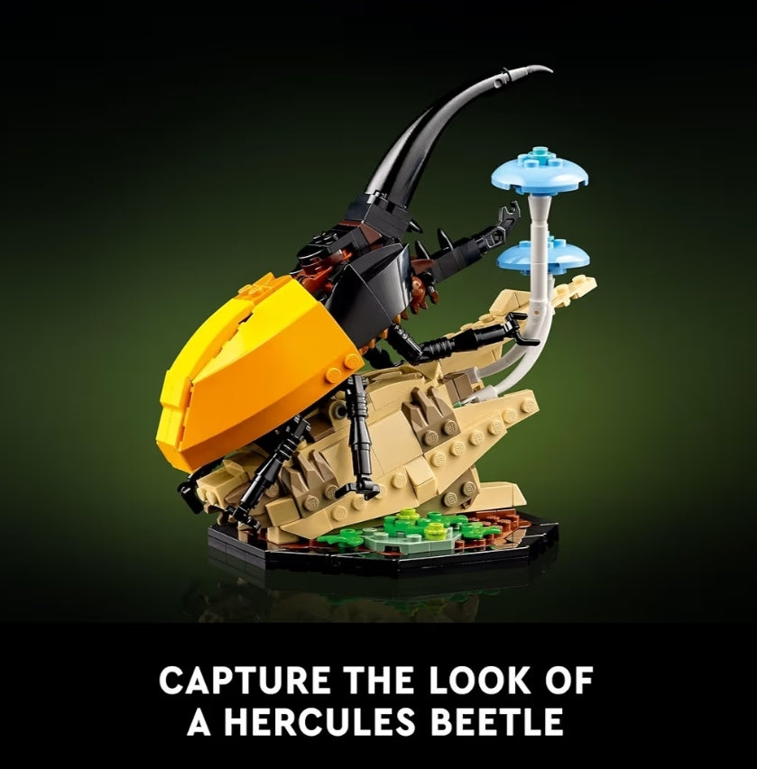 LEGO Ideas Die Insekteversameling, Natuurliefhebbers, m/ Lewensgroot Blou Morfo Skoenlapper, Herculeskewer en Chinese Bidsprinkaan - 21342