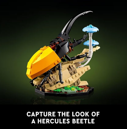 LEGO Ideas Die Insekteversameling, Natuurliefhebbers, m/ Lewensgroot Blou Morfo Skoenlapper, Herculeskewer en Chinese Bidsprinkaan - 21342
