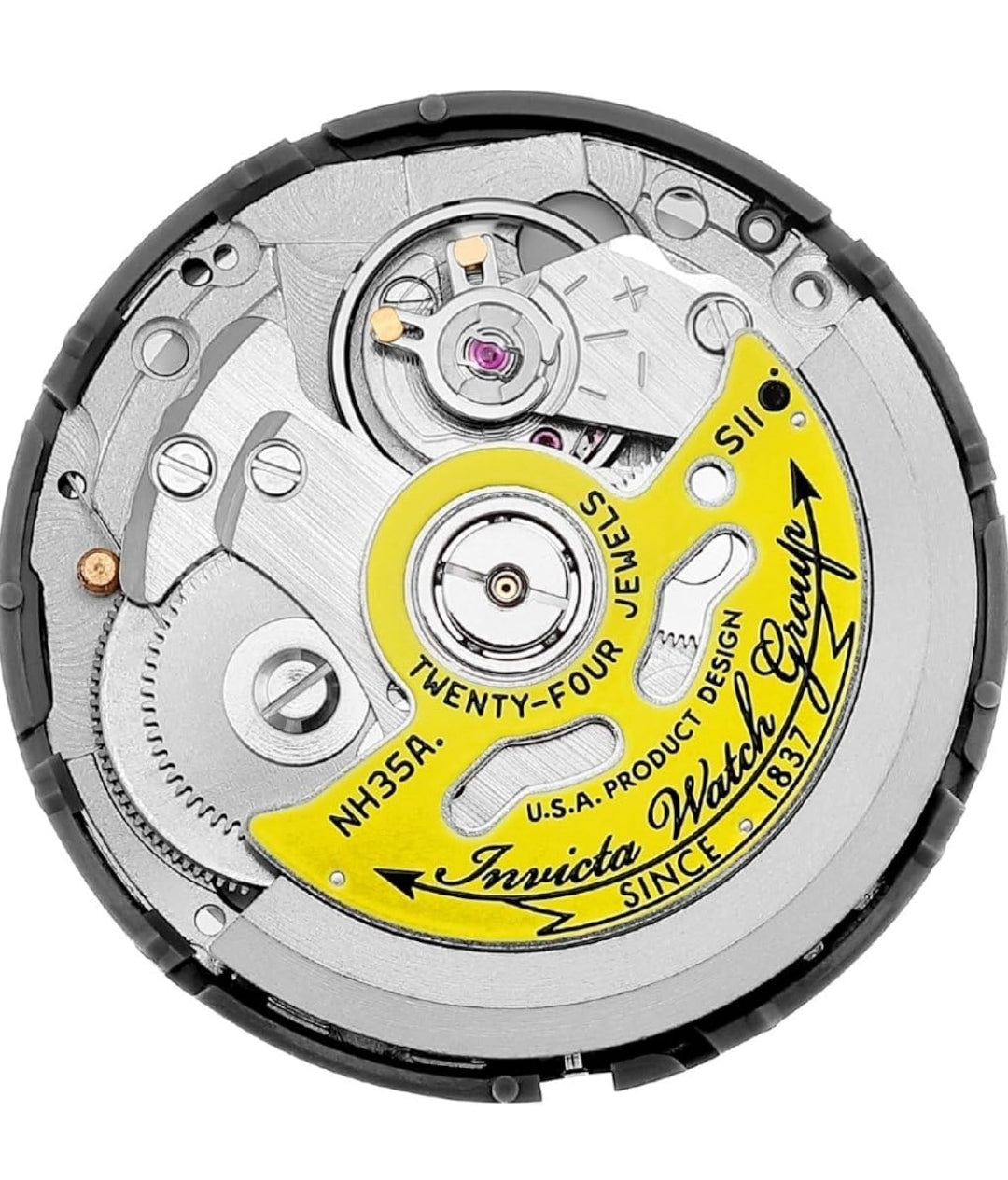 Invicta Men's Pro Diver Collection Coin-Edge Automatic Watch